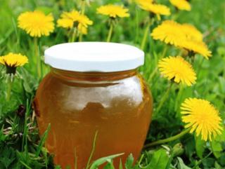 одуванчиковый мед